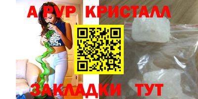 эйфоретик Тара