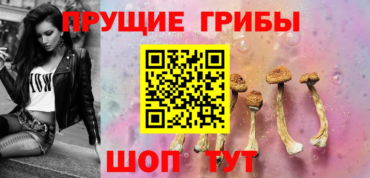 Новоуральск  Псилоцибиновые грибы мицелий  Вход с VPN  Галлюциногенные грибы Magic Shrooms 